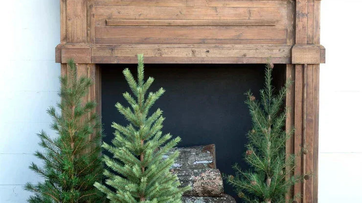 10 Must-Have Rustic Christmas Decorations for a Cozy Holiday Home