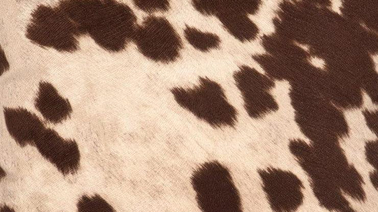 Versatile Faux Leather and Fur: Elevate Your Decor and Upholstery Projects
