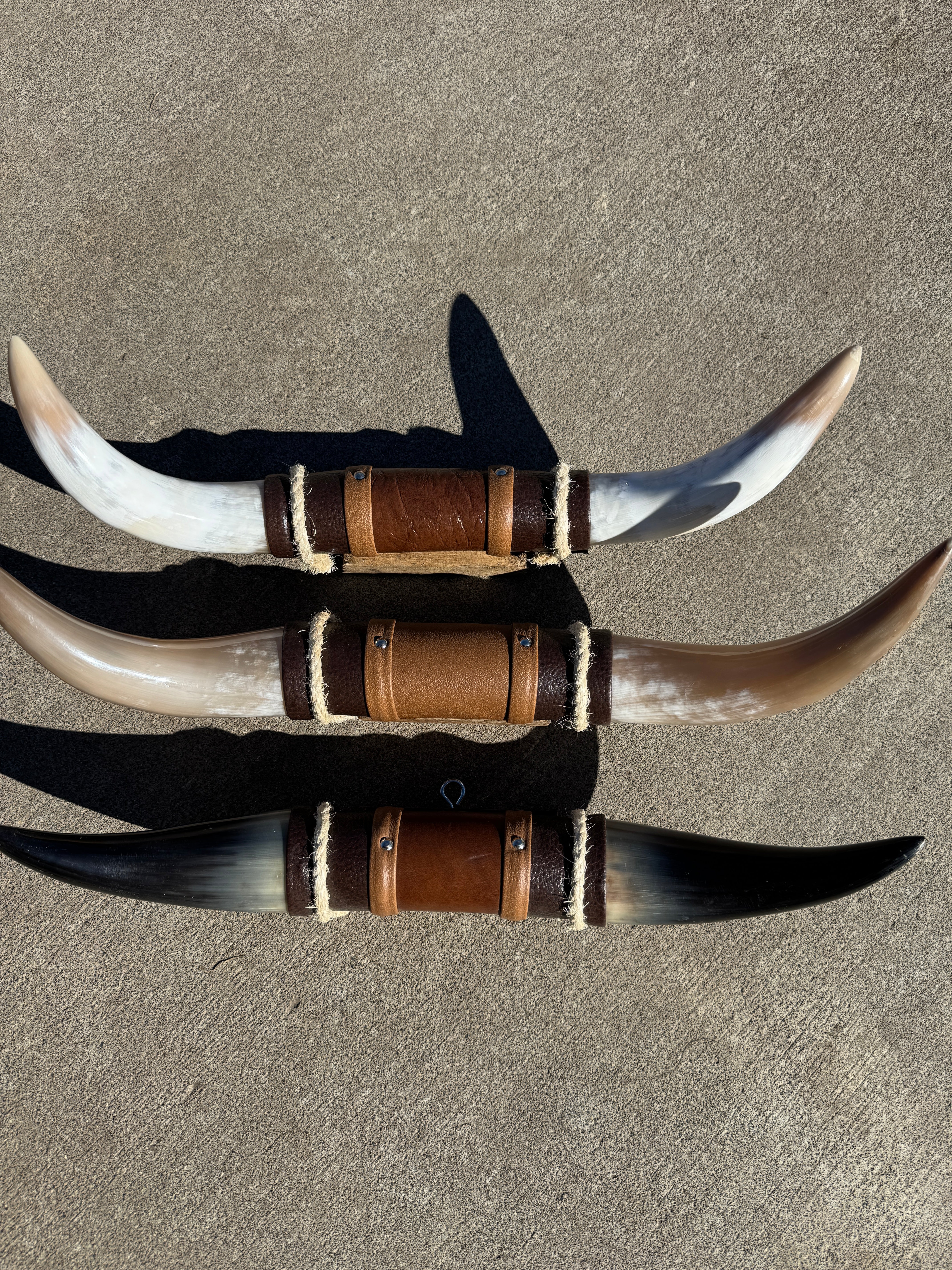 Three decorative steer horns with leather bands on a cement floor