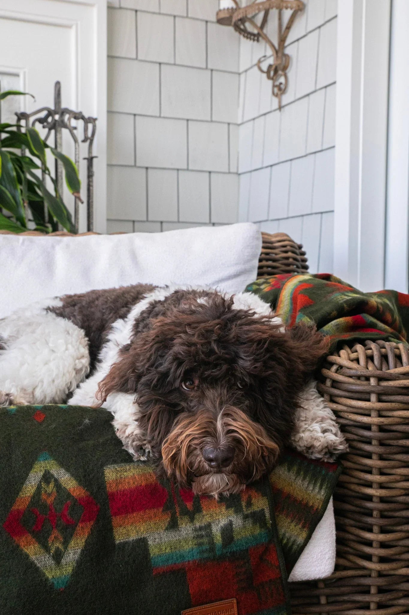 Andes Forest Southwestern Queen-Sized Blanket - Your Western Decor