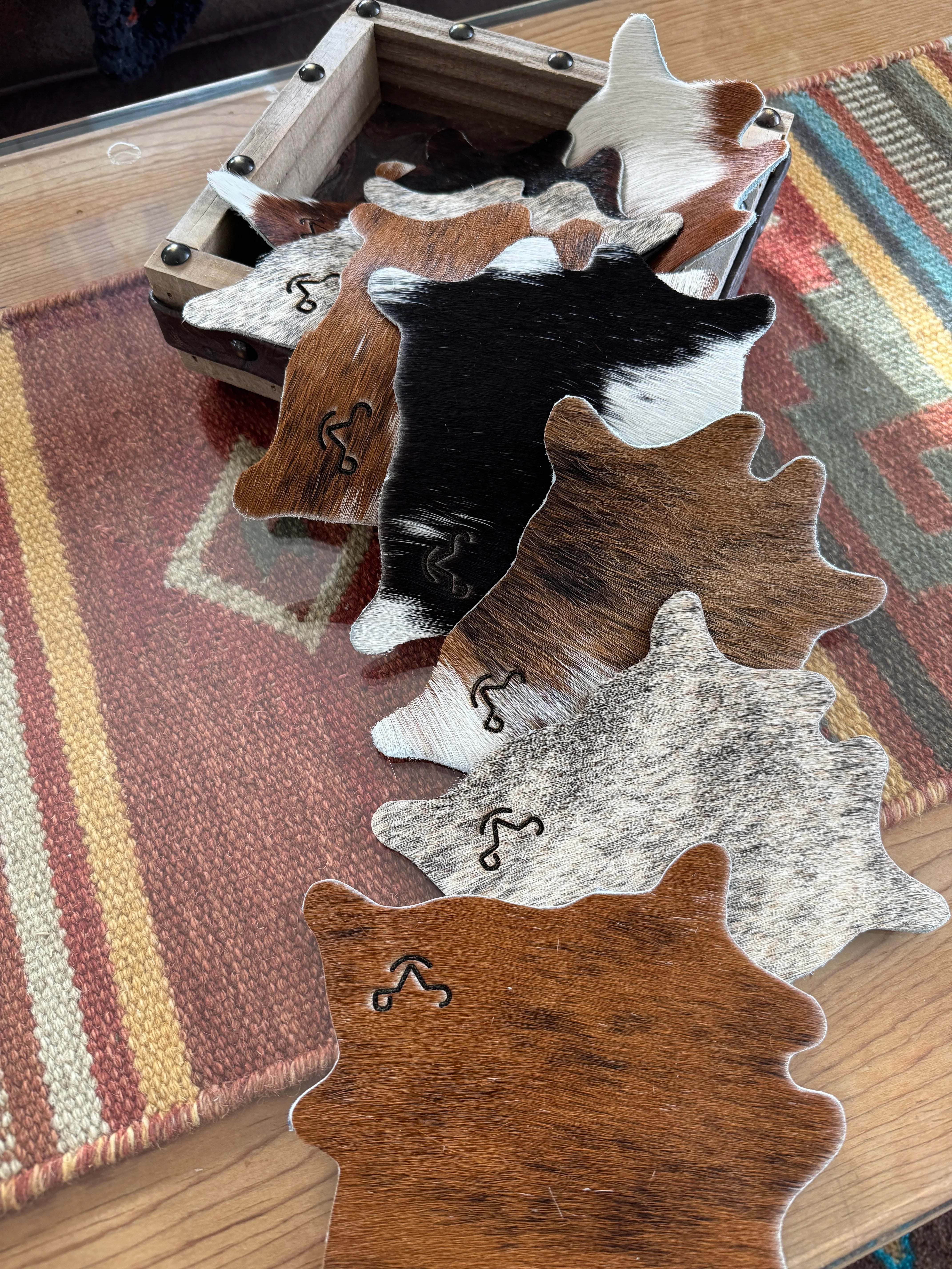 8-pc branded cowhide coasters with display box - Your Western Decor