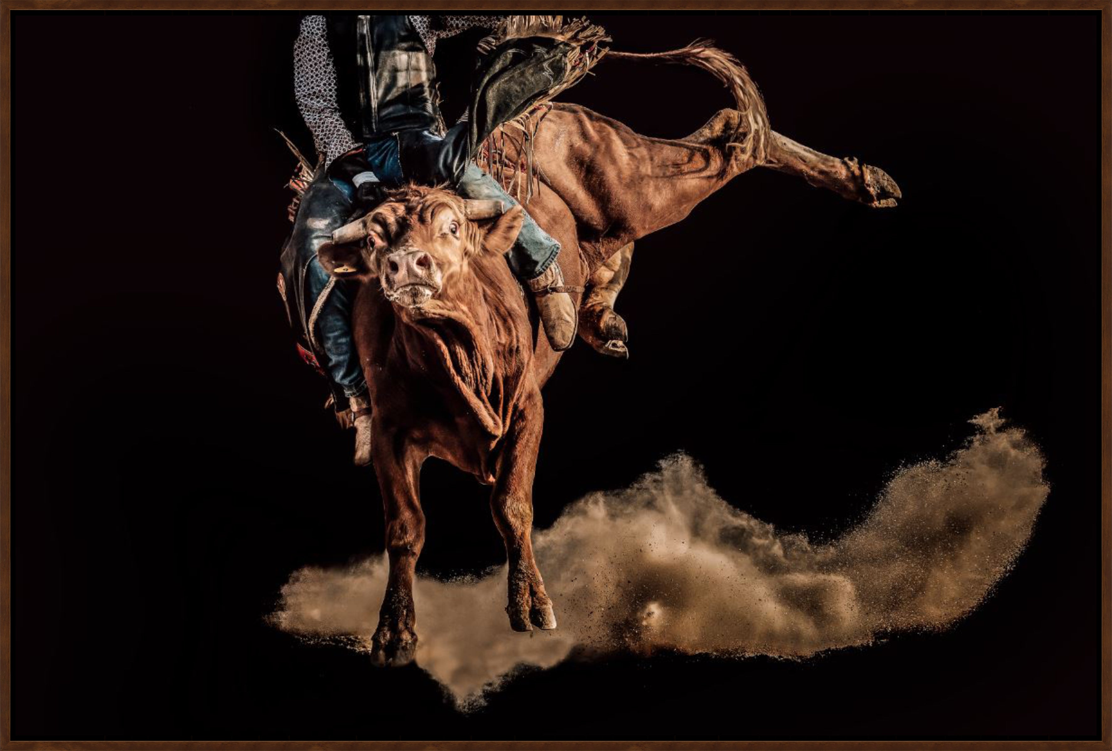 Rodeo rider on a bucking bull with dust in the air against a dark background - Your Western Decor art