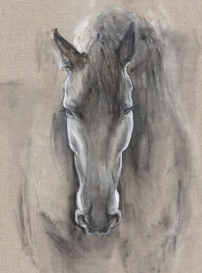 Unframed Buckingham Royal Horse Art made in the USA - Your Western Decor