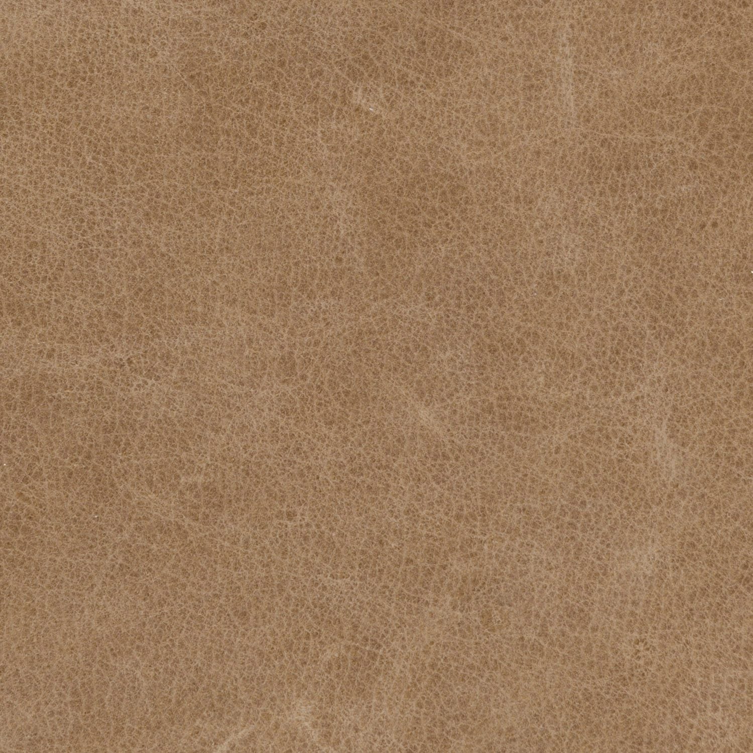 Canyon-saddle-brown-leather-sample