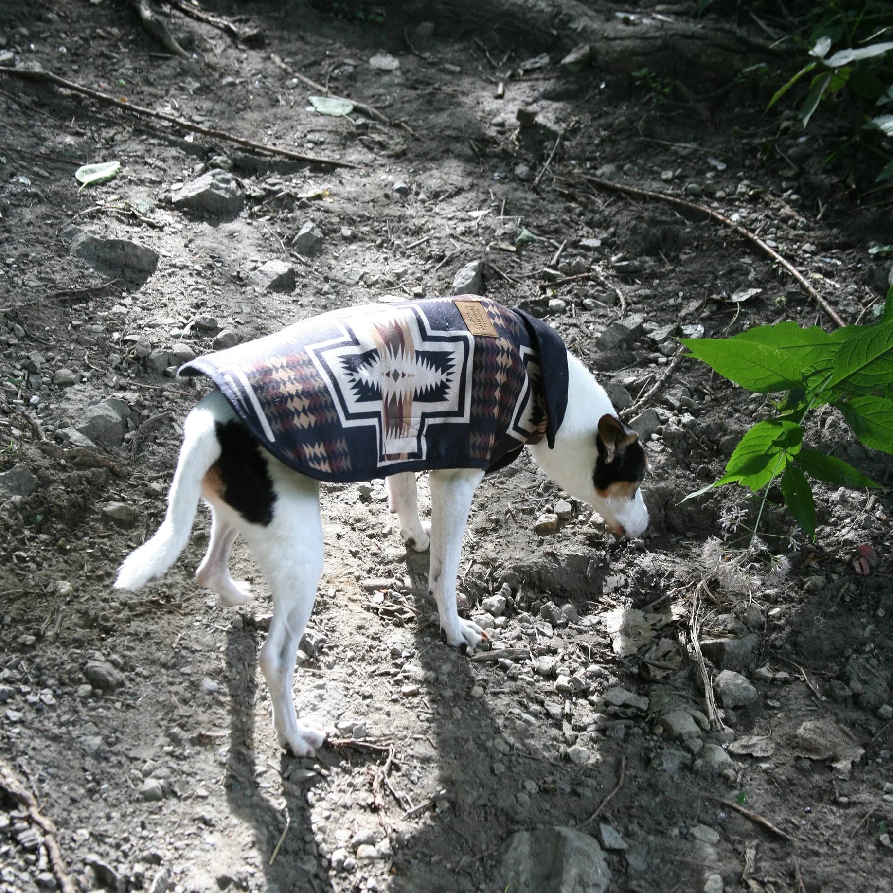 Harding Adjustable Dog Coat - Pendleton Harding Pattern - Browns, black, white & tan - Pendleton Logo - Adjustable belly strap - Your Western Decor