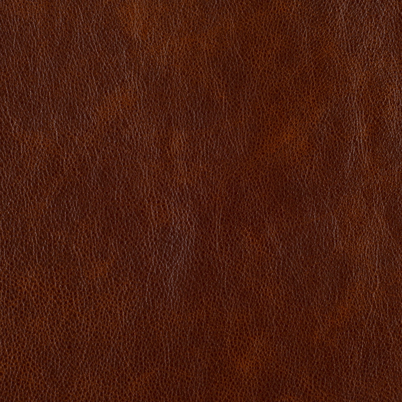 close up of rich brown hercules carob leather