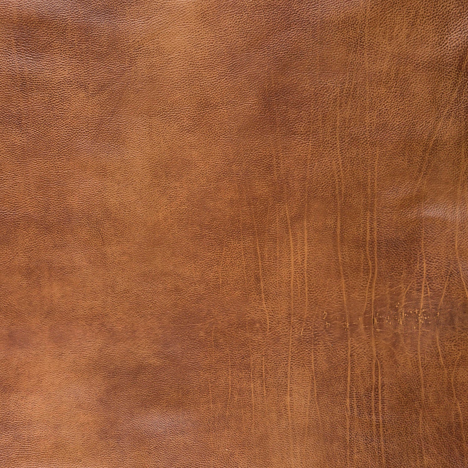 Premium pebble-grain leather in warm saddle brown featuring natural character markings, soft texture, and authentic color variation.