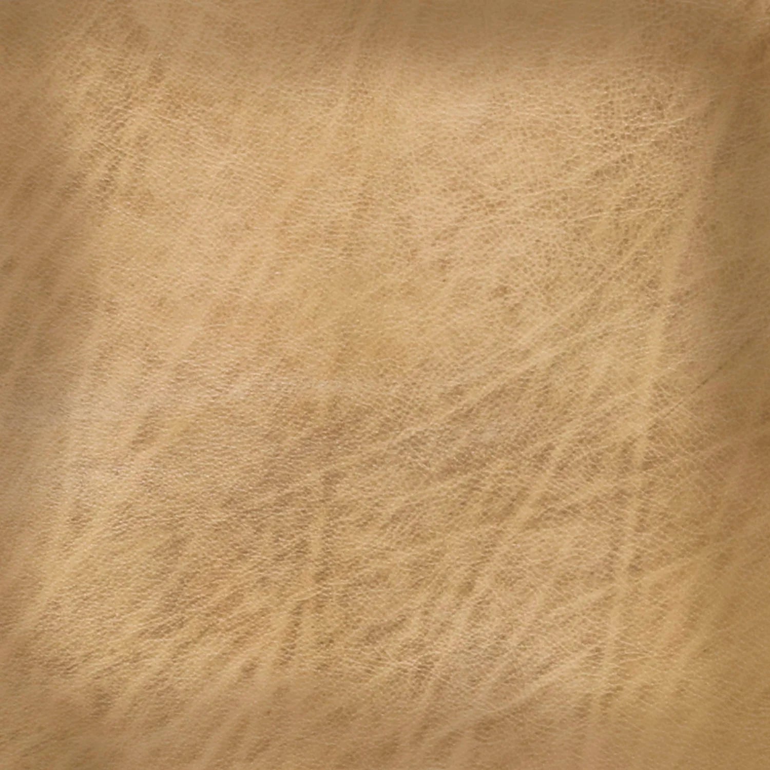 Desert beige hand burnished leather detail - Your Western Decor