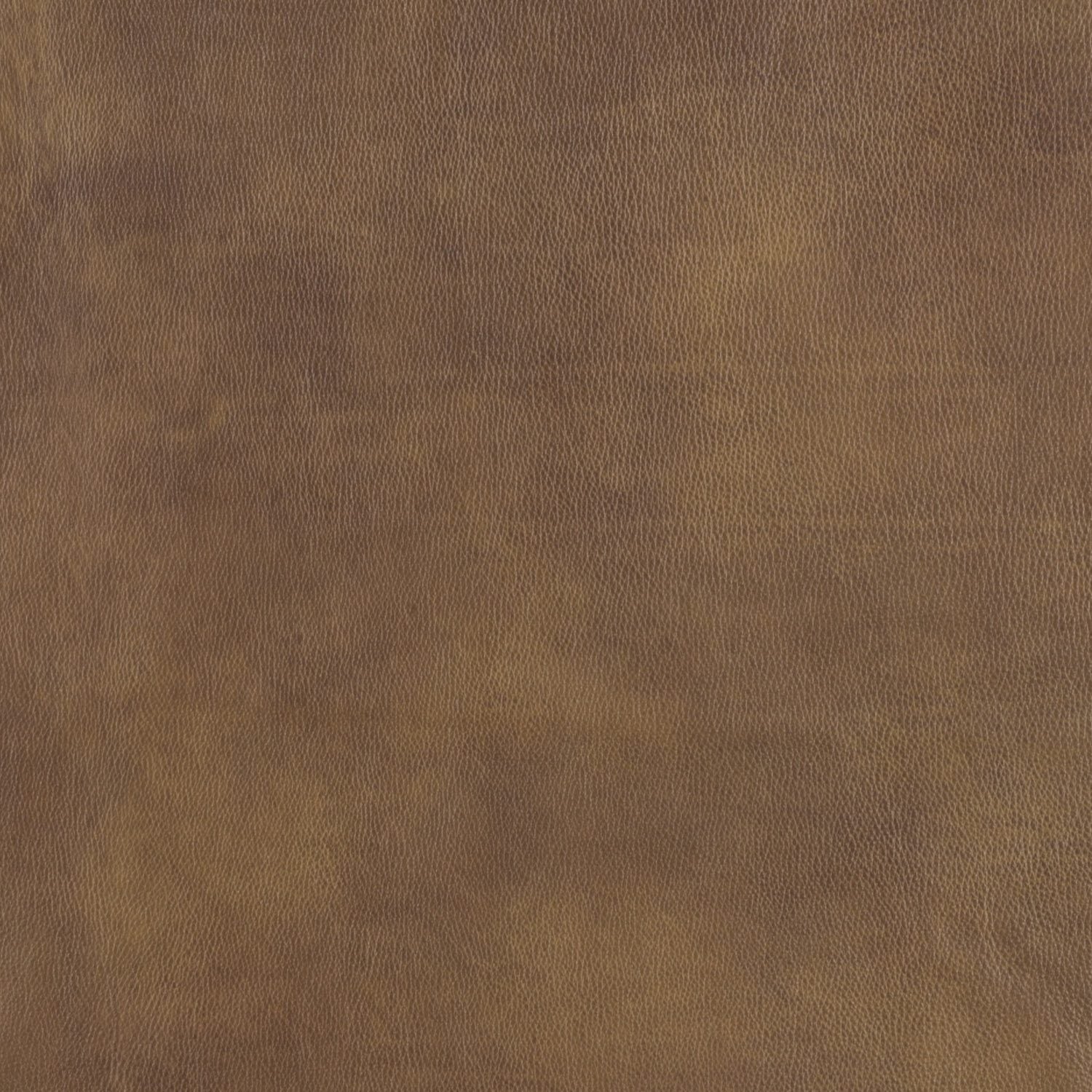 Brown leather sample