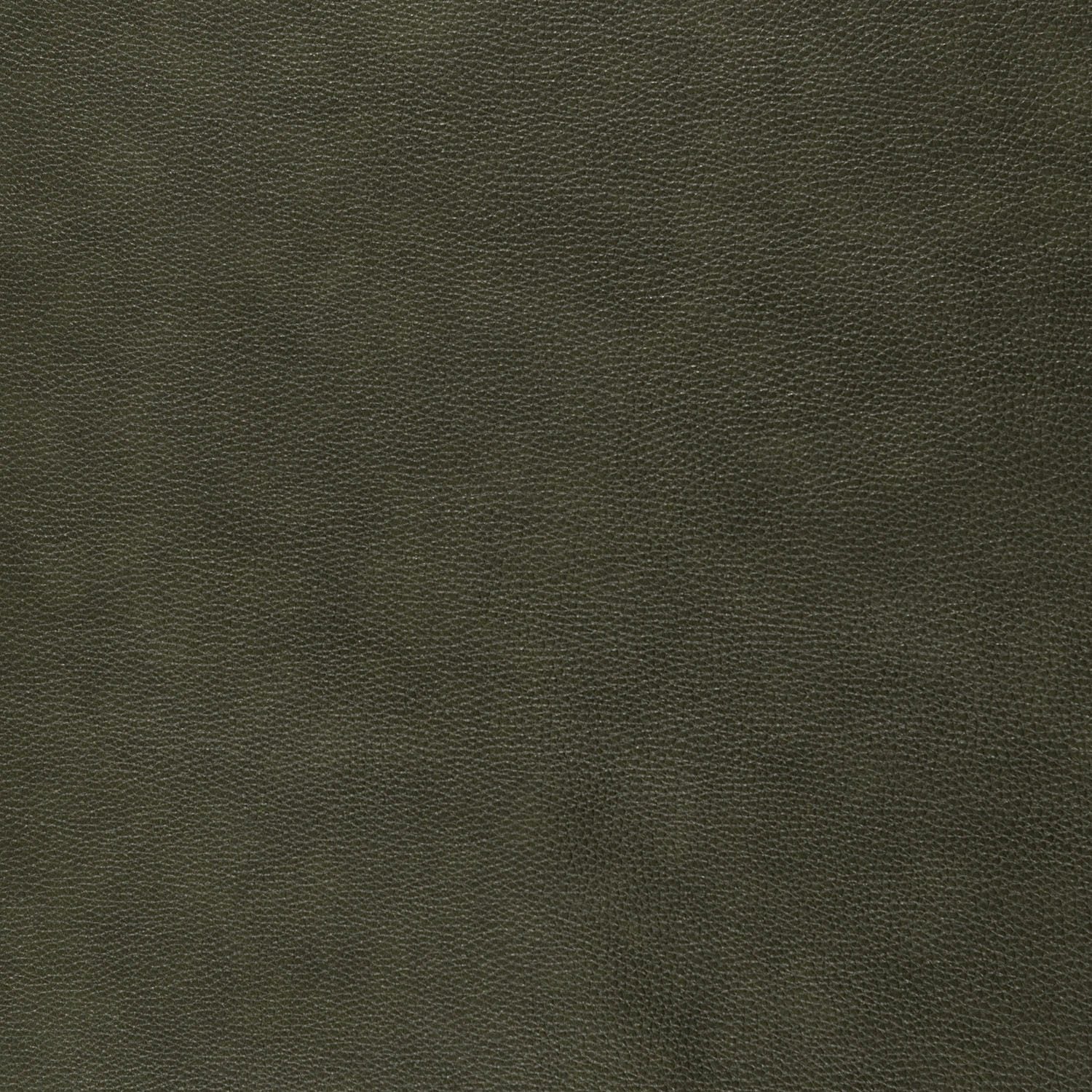 Sage green leather sample