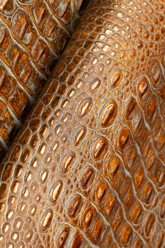 Close-up of brown crocodile leather texture