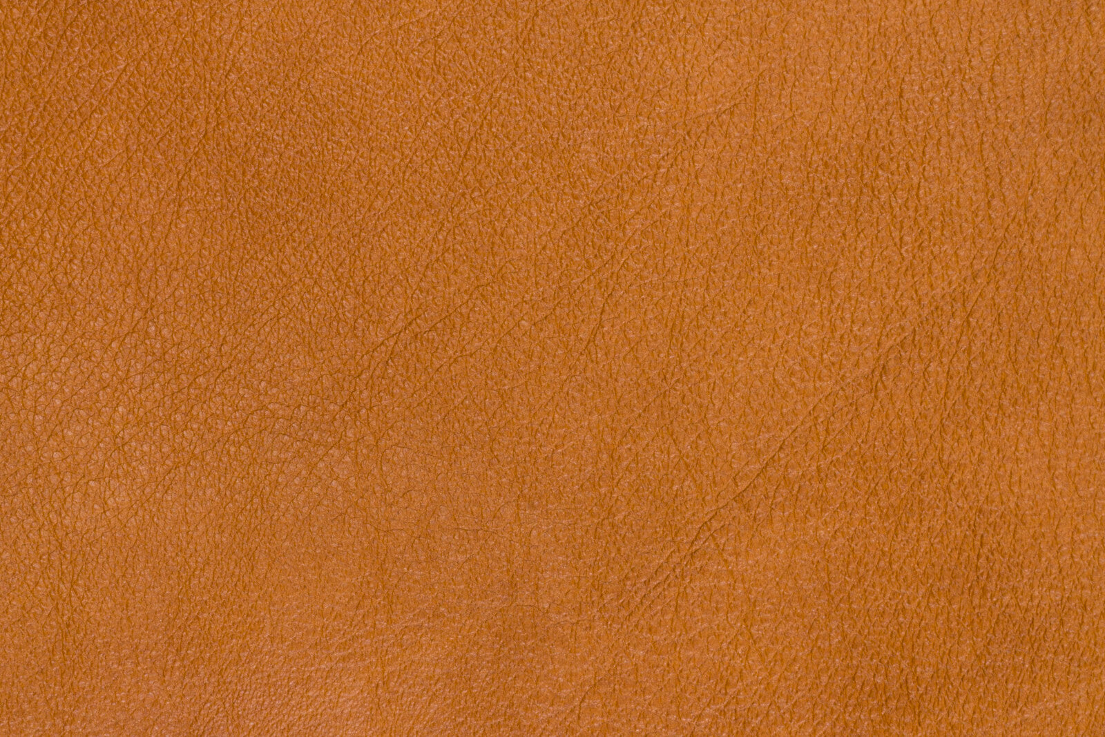 burnt orange toned top-grain cowhide sample