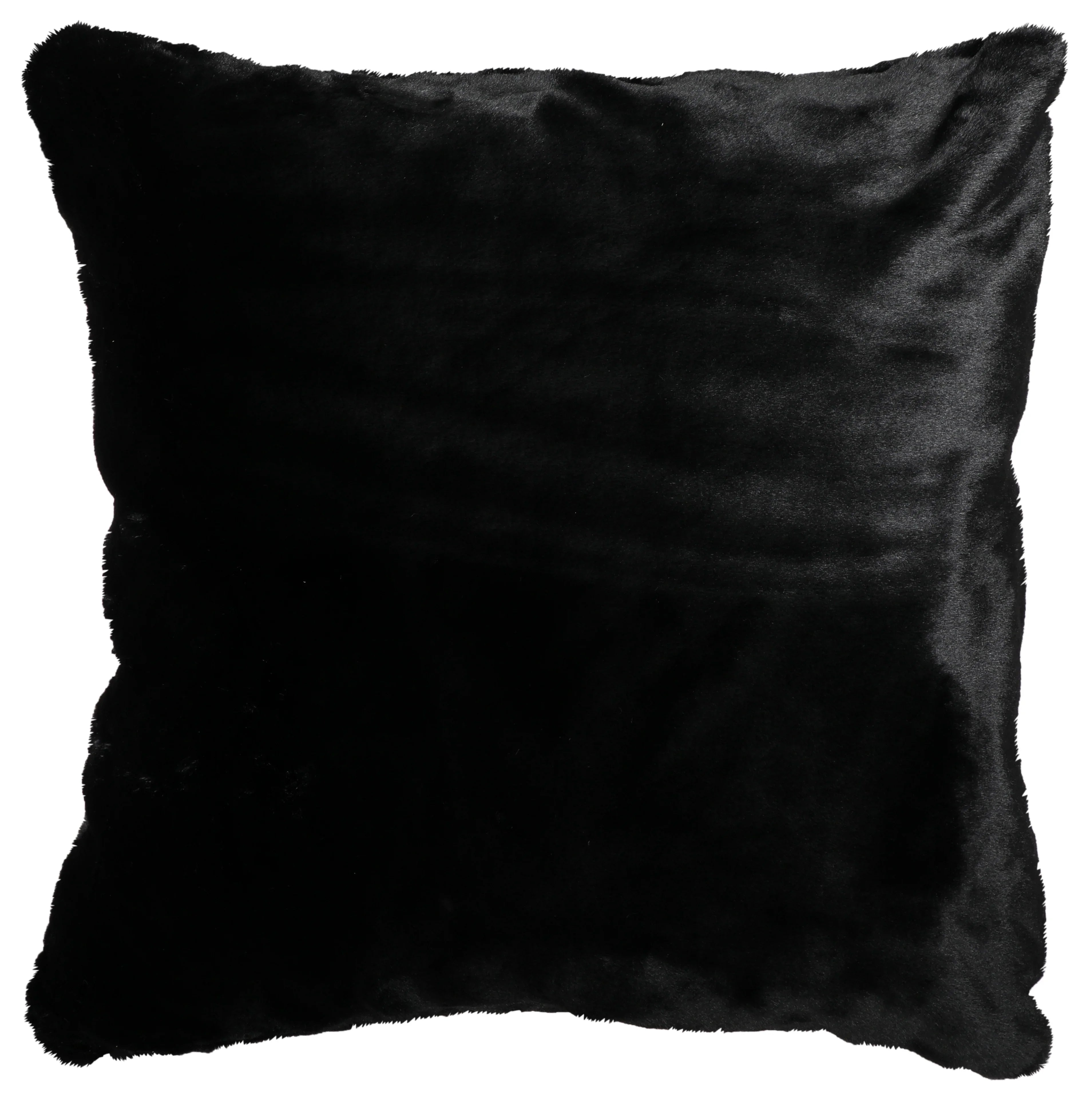 Black Bear Euro Sham