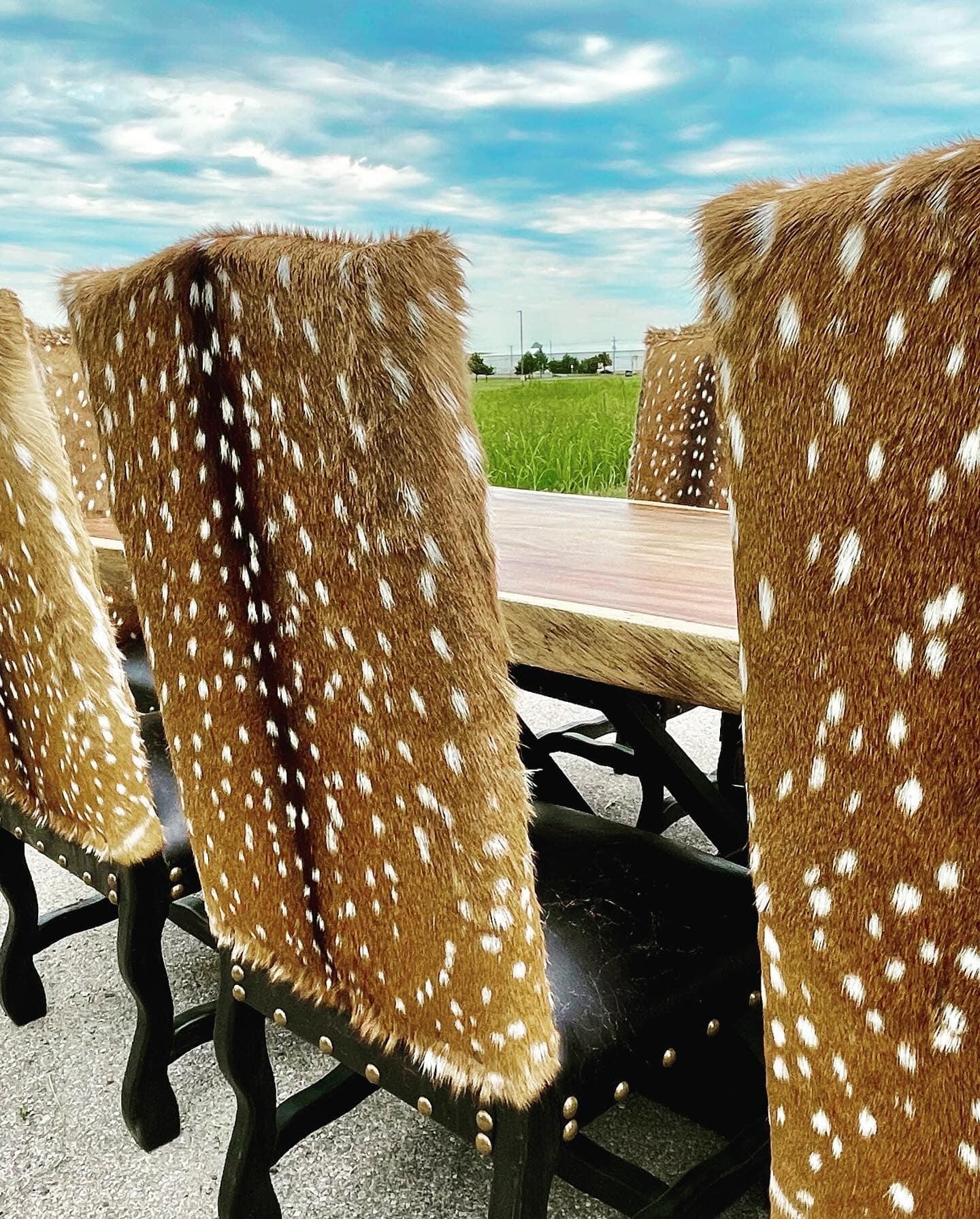 Axis dining chair backs - Your Western Decor