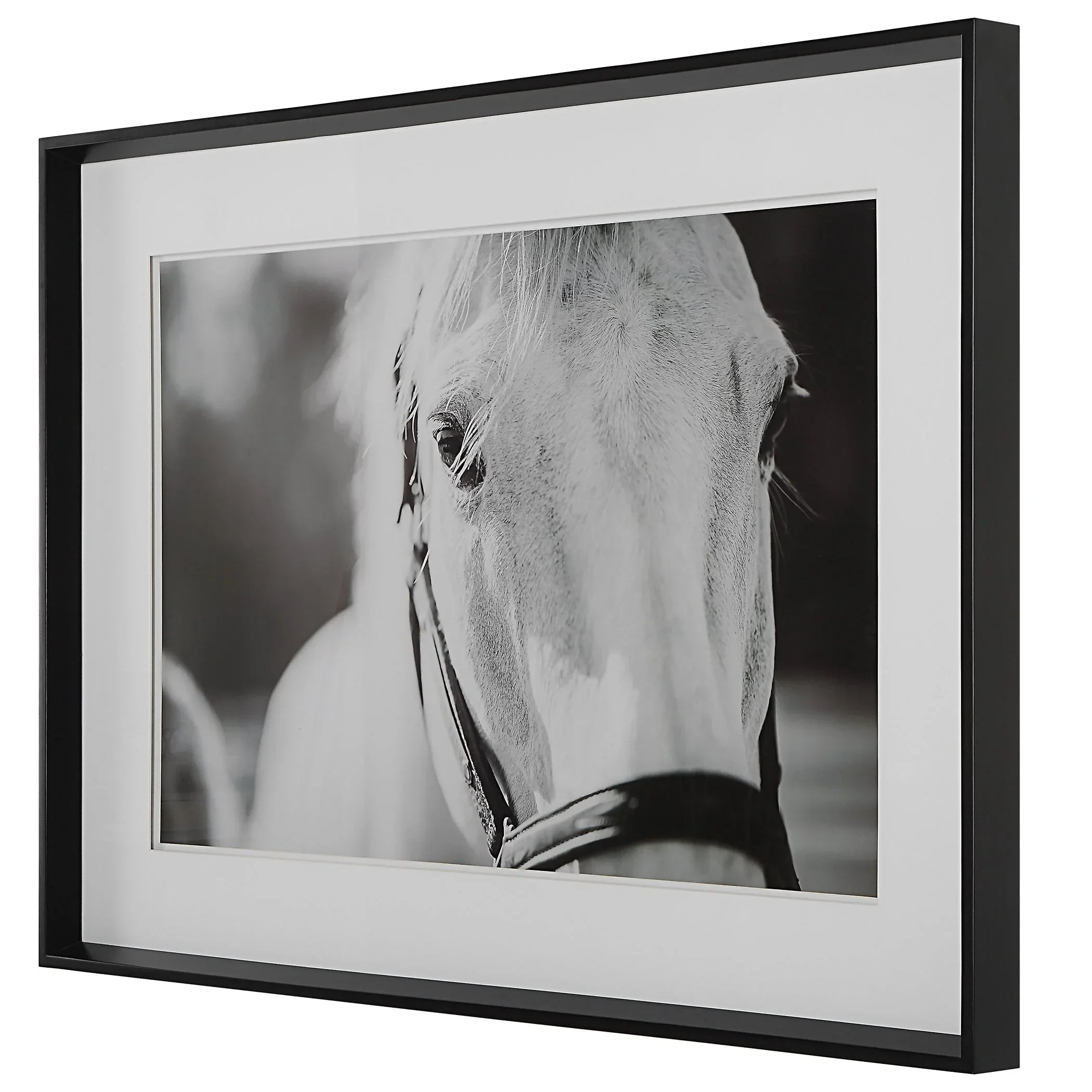 Beauty in the Eyes - White Horse Art with sleek black frame - Your Western Decor