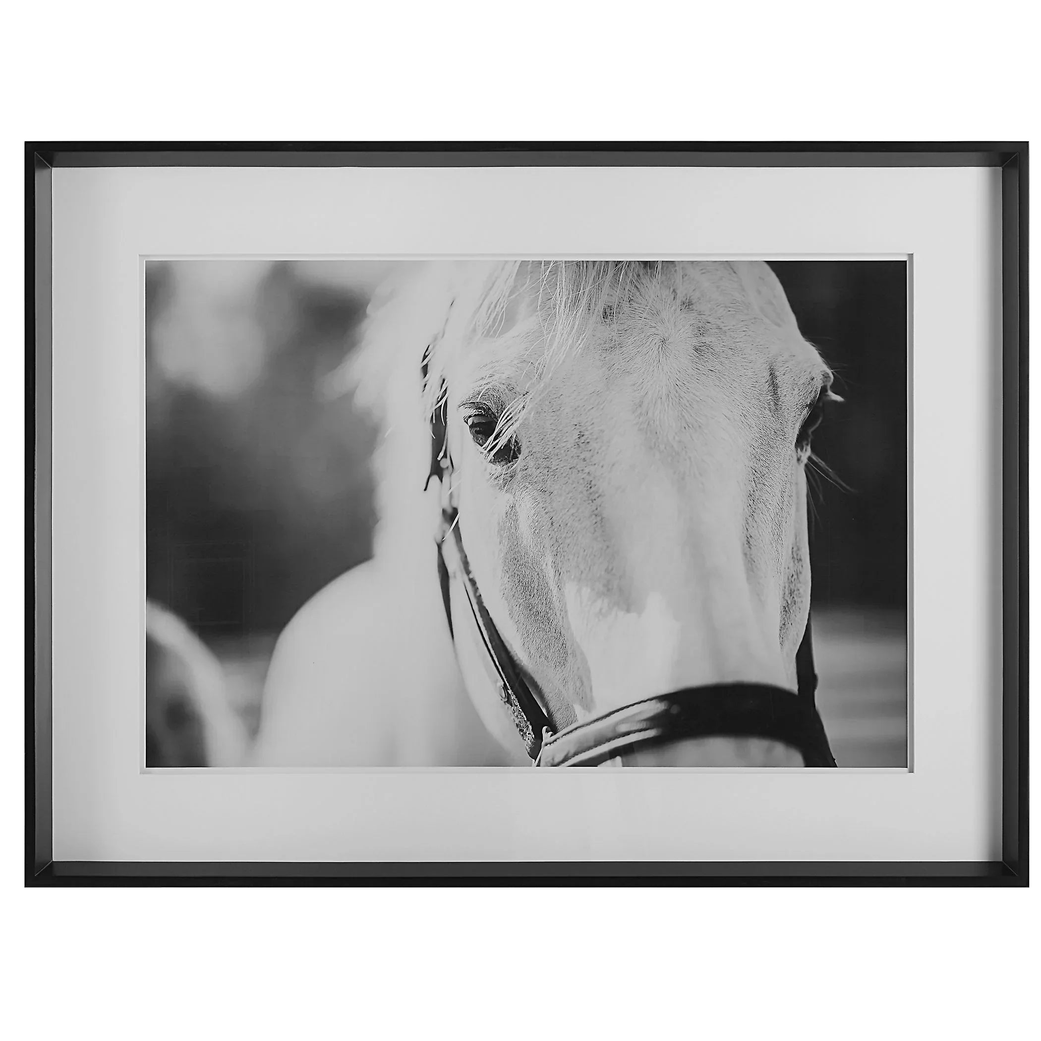 Beauty in the Eyes - White Horse Art with sleek black frame - Your Western Decor