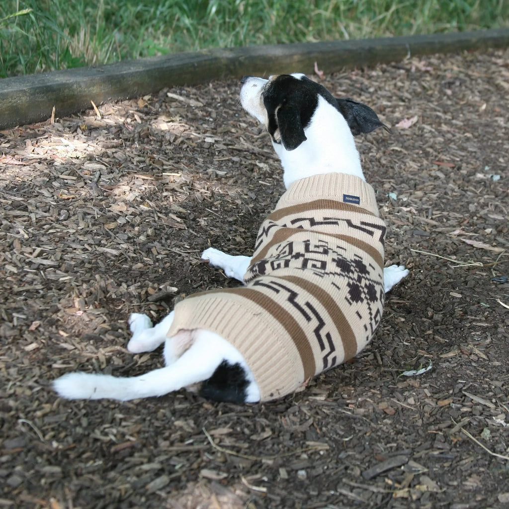 Big LeBarkski Westerley Knitted Dog Sweater - Your Western Decor