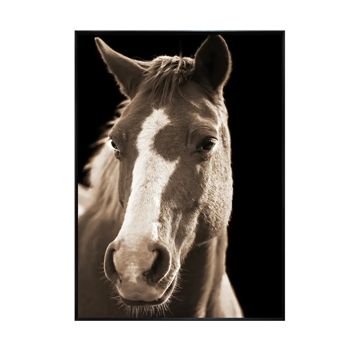 Blaze framed horse art - Your Western Decor