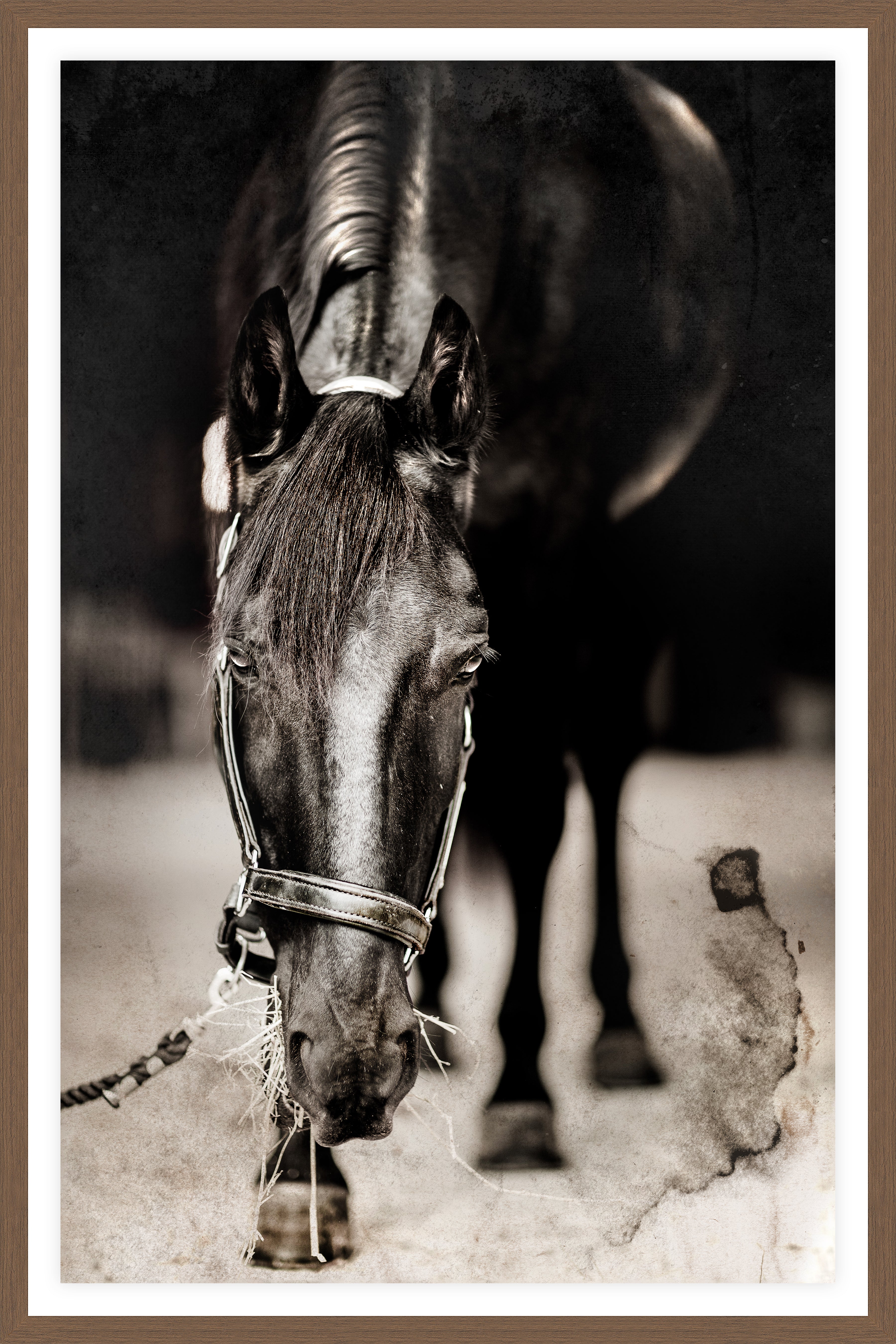 Horse art - Blue's Second Tour - Your Western Decor