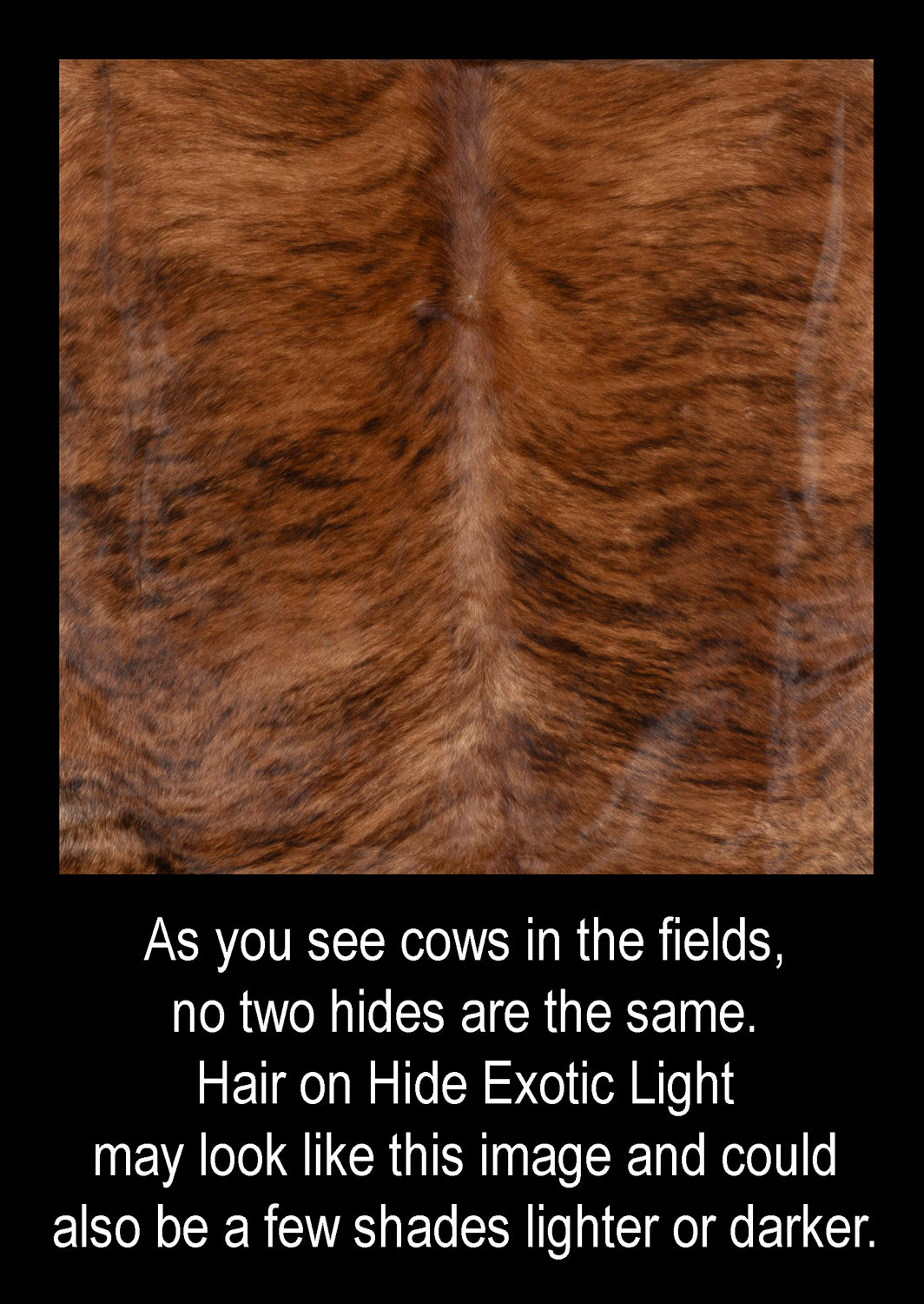 Detail of brindle hair-on cowhide