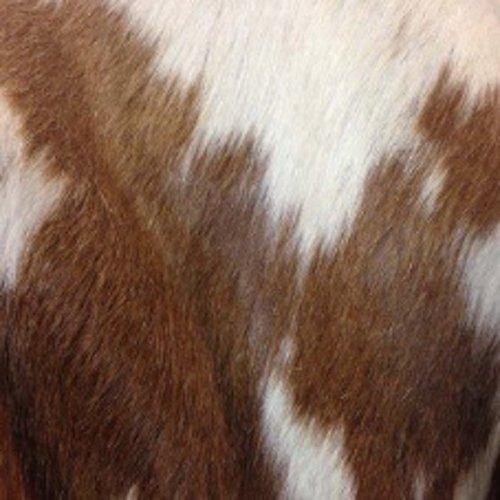 Brown and white hair on cowhide upholstery - Your Western Decor