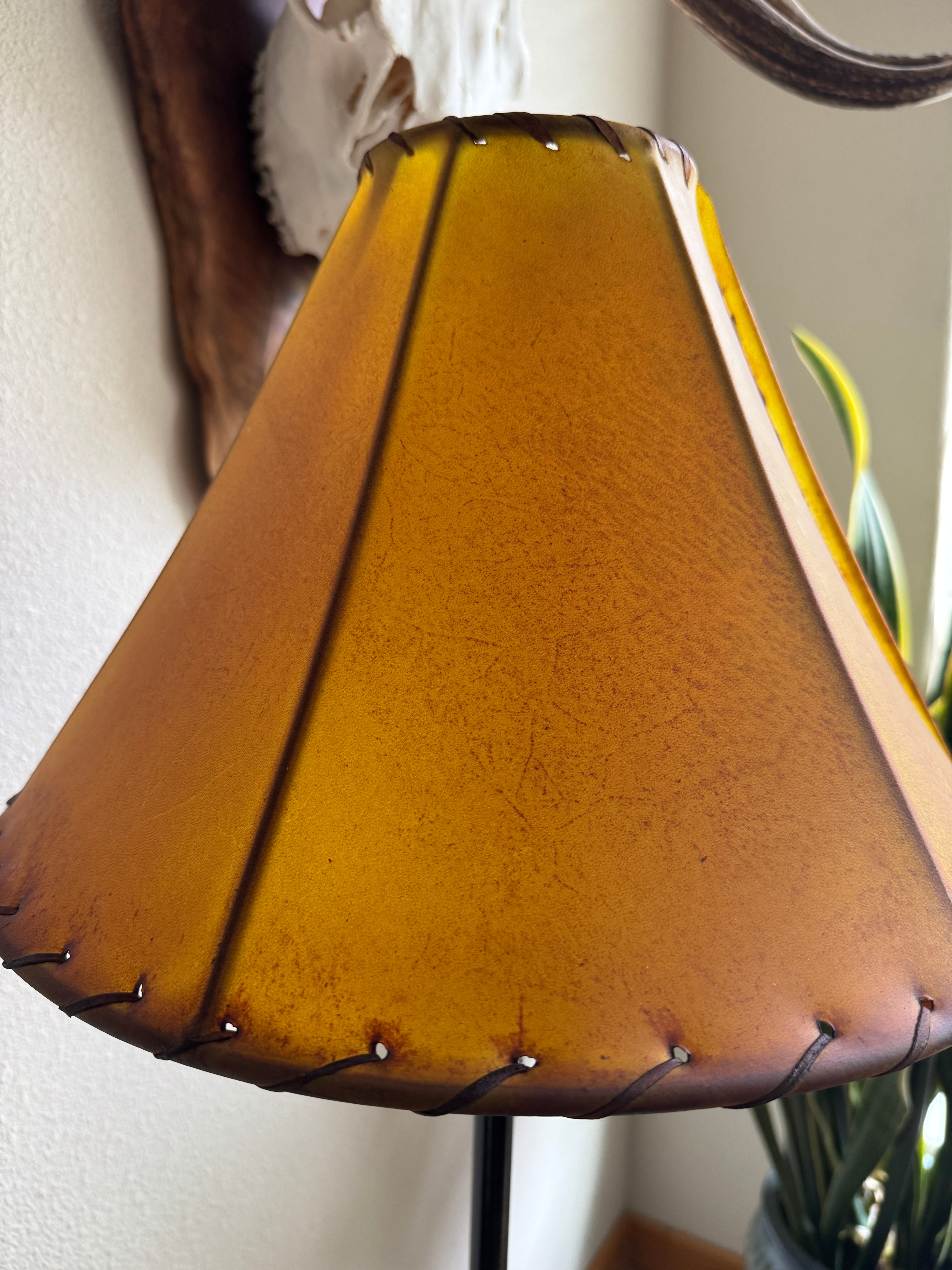 Buckskin color round rawhide lamp shade in natural lighting with light off