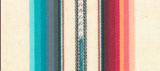 Cactus flower serape fabric - Your Western Decor