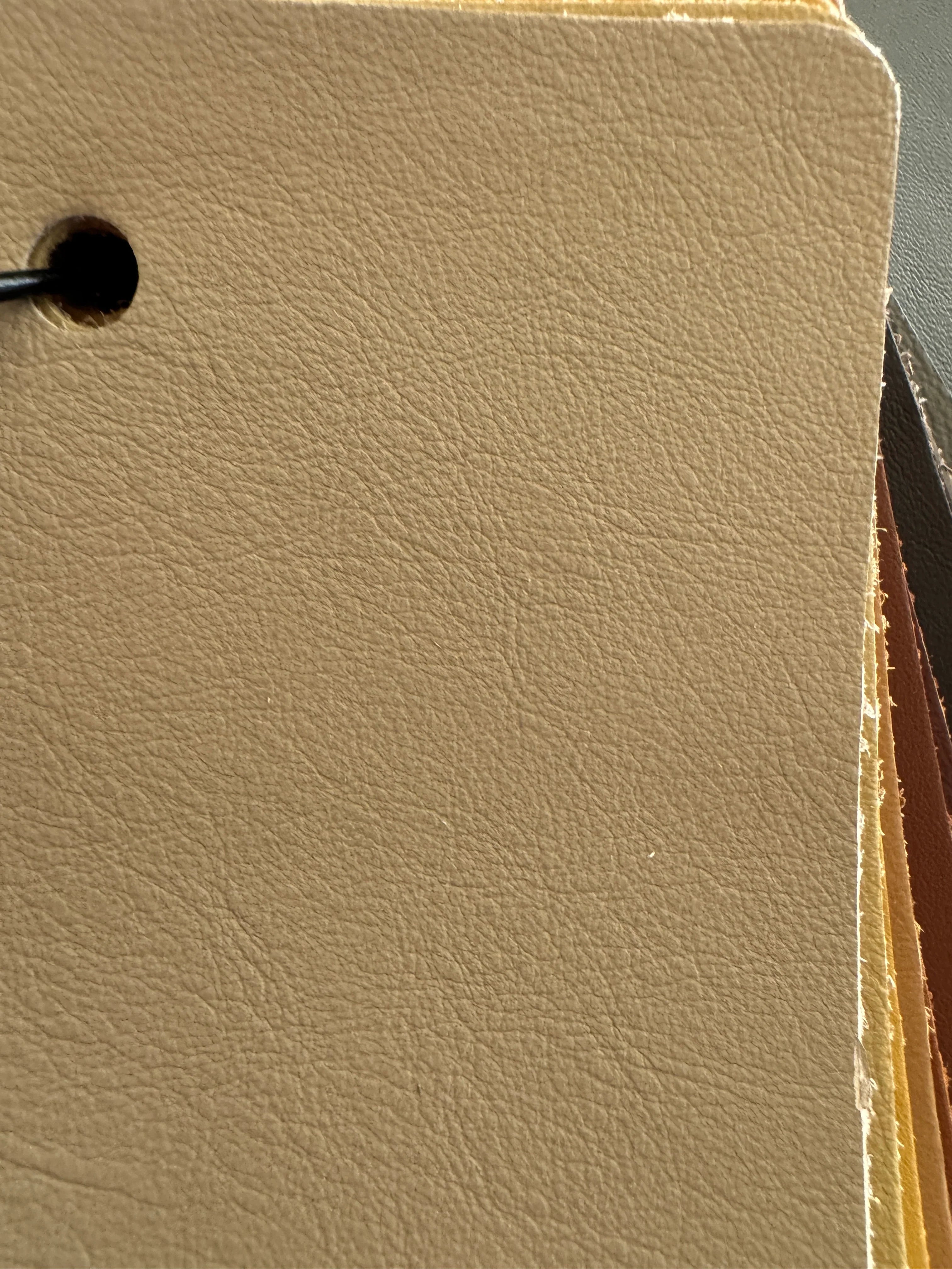 Europa Cashmere Smooth Upholstery Leather - Your Western Decor