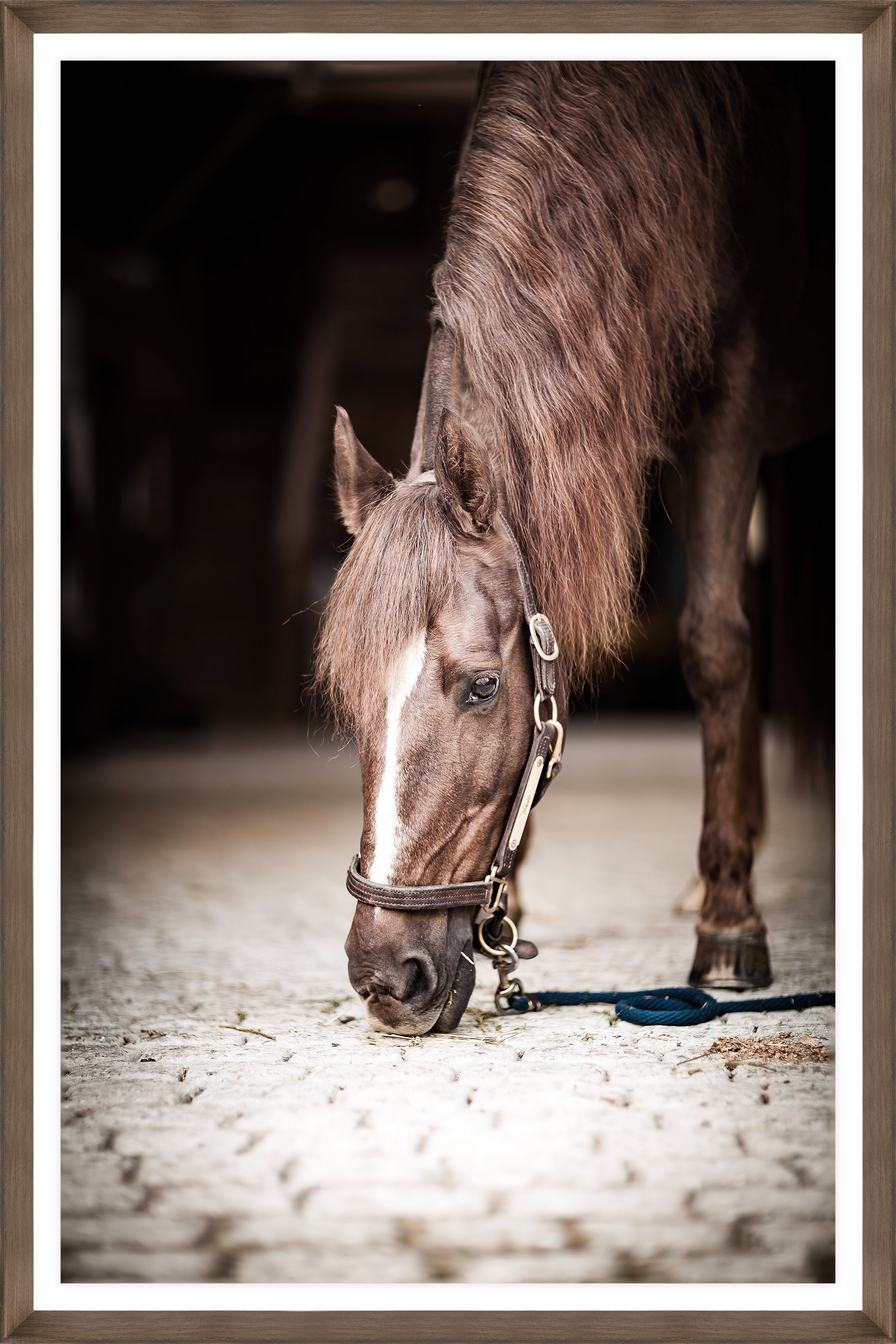 Champions Stable Time Horse Art, horse in barn isle eating grain - Your Western Decor