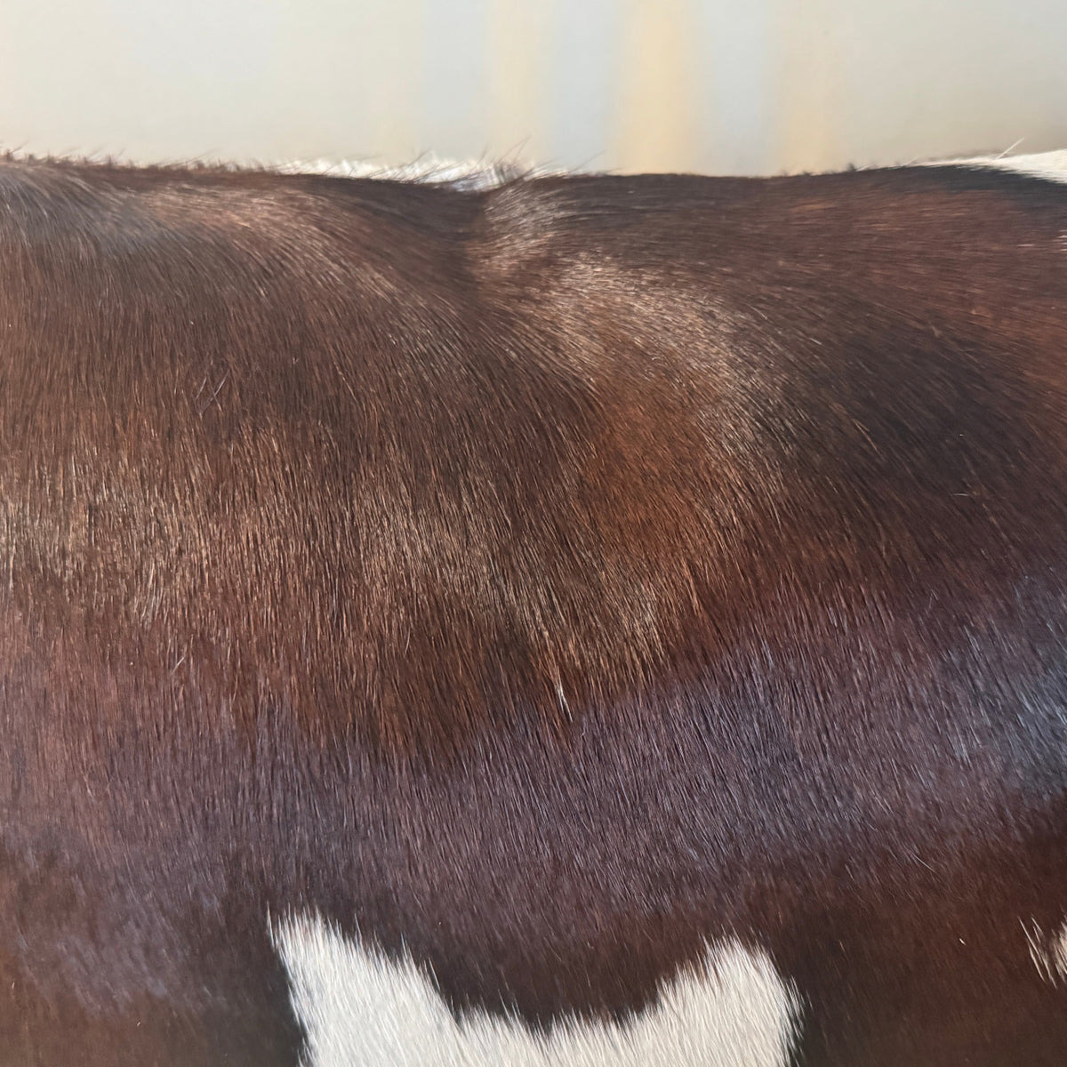 Close up cowhide throw pillow detail