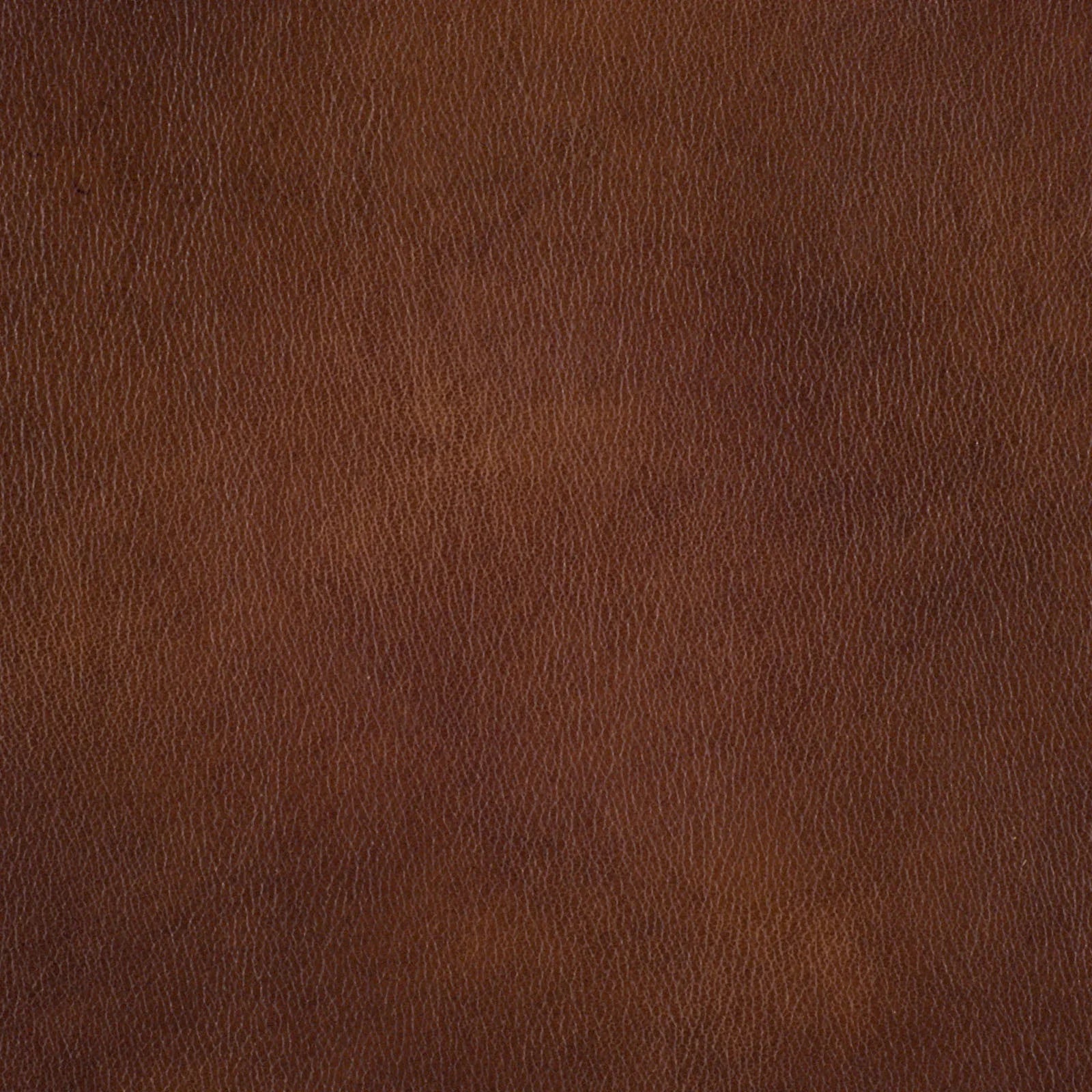 Corinthian hand-burnished walnut leather sample - Your Western Decor
