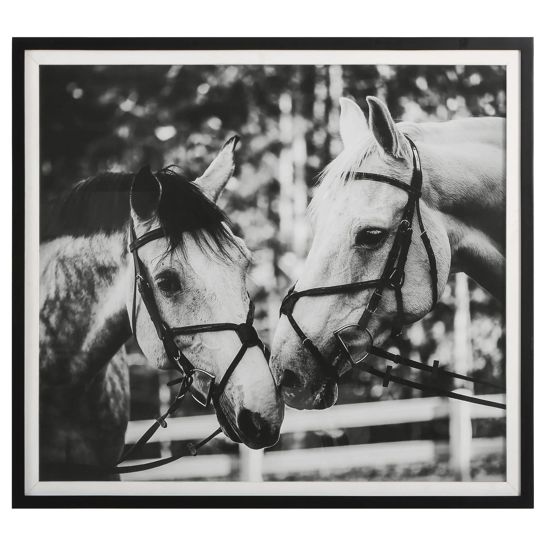 Dapple Of My Eye Horse Art black and white - Your Western Decor