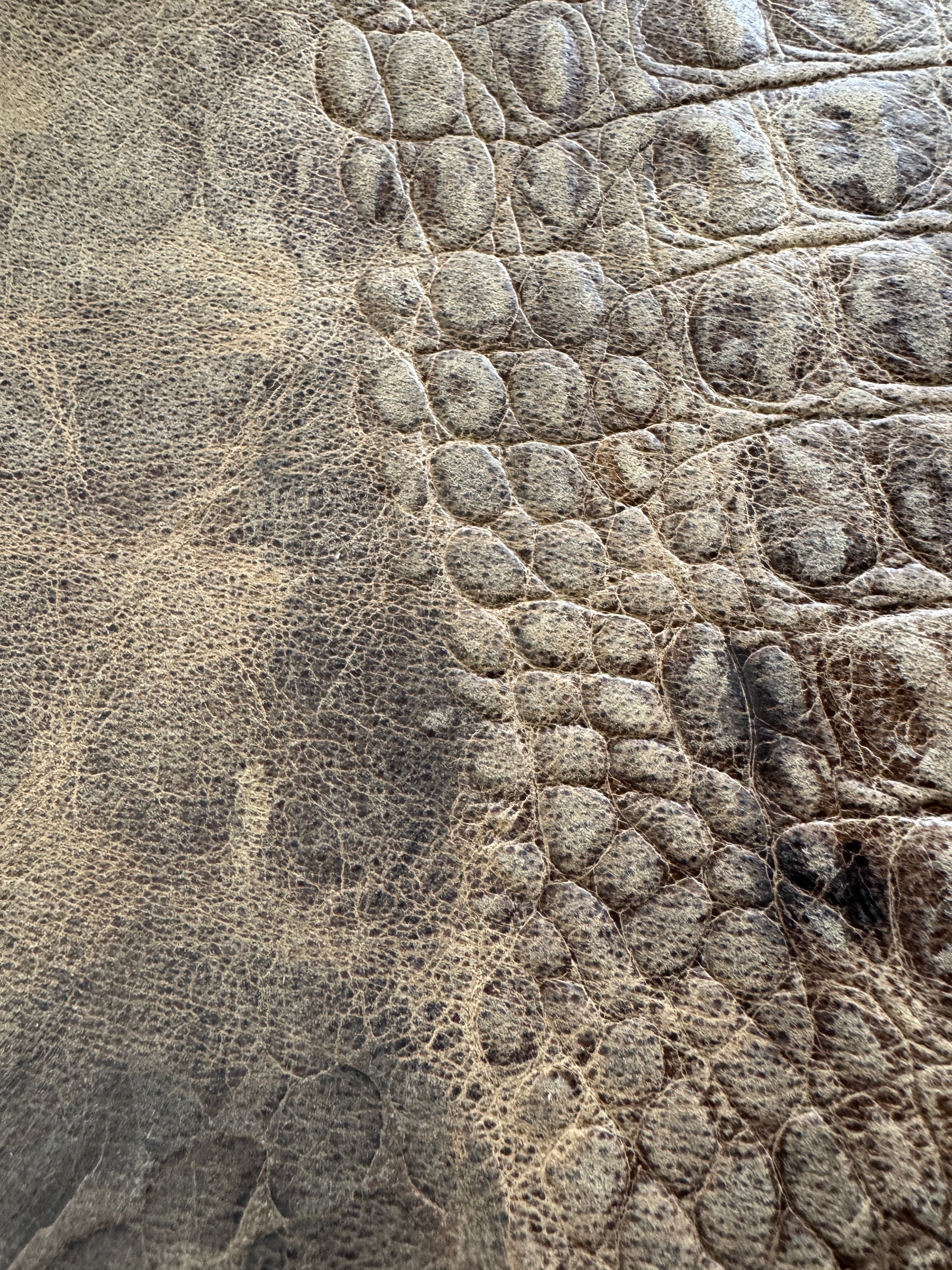 embossed croc brown leather close-up