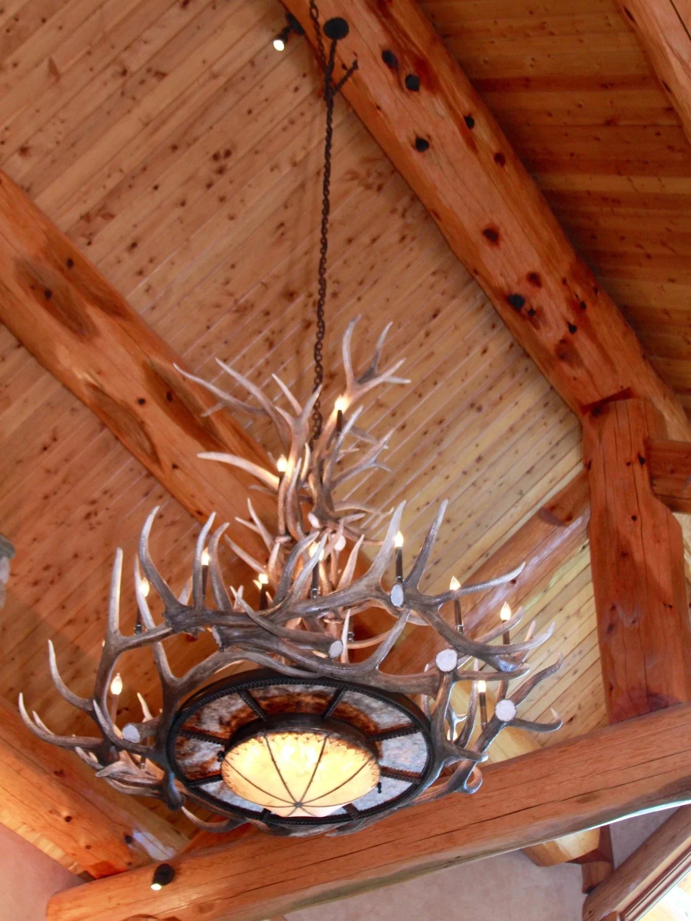 Rocky Mountain Elk Antler Chandelier - Your Western Decor, LLC