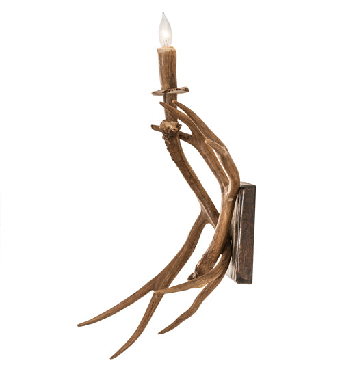 Side view of Elk Antler Wall Sconce