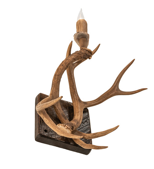 Bottom view of Timberline Elk Antler Wall sconce