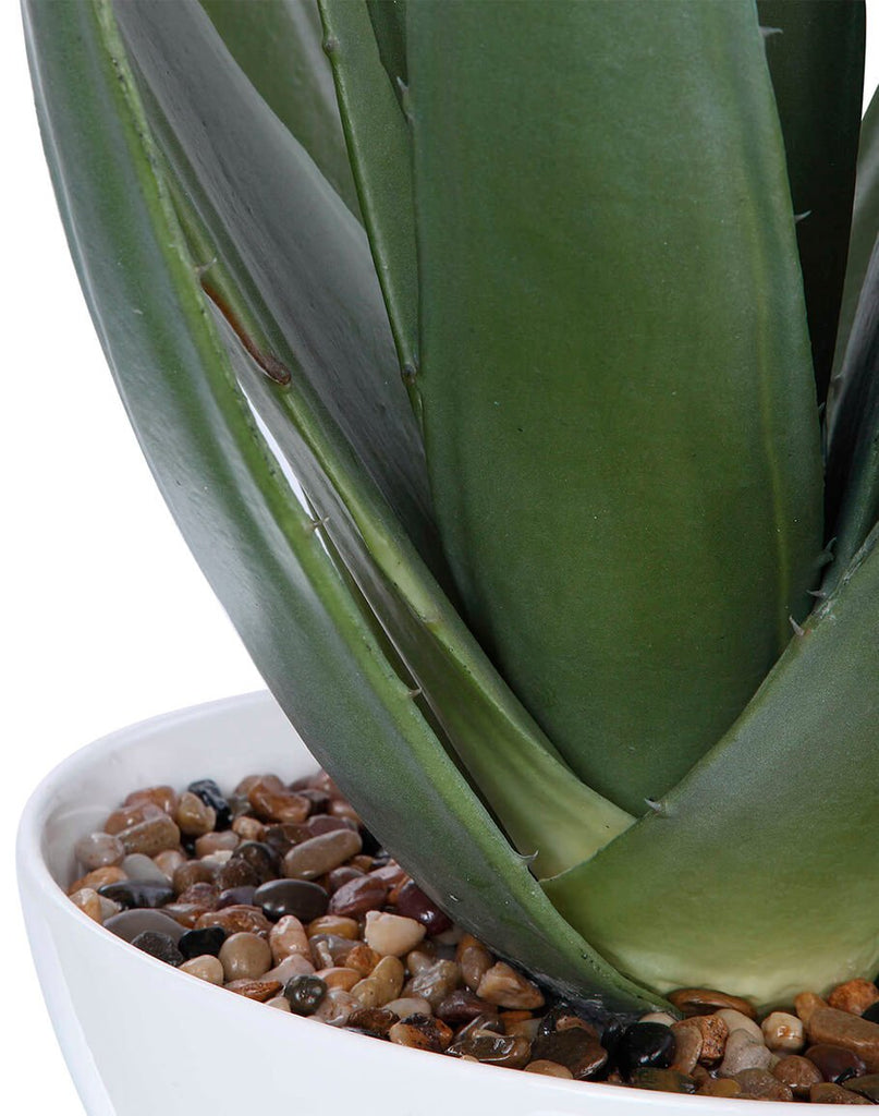 Evarado Faux Aloe Vera Plant Detail - Your Western Decor
