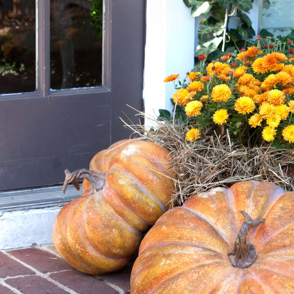Two pumpkins on a brick surface with a door and flowers in the background - Your Western Decor