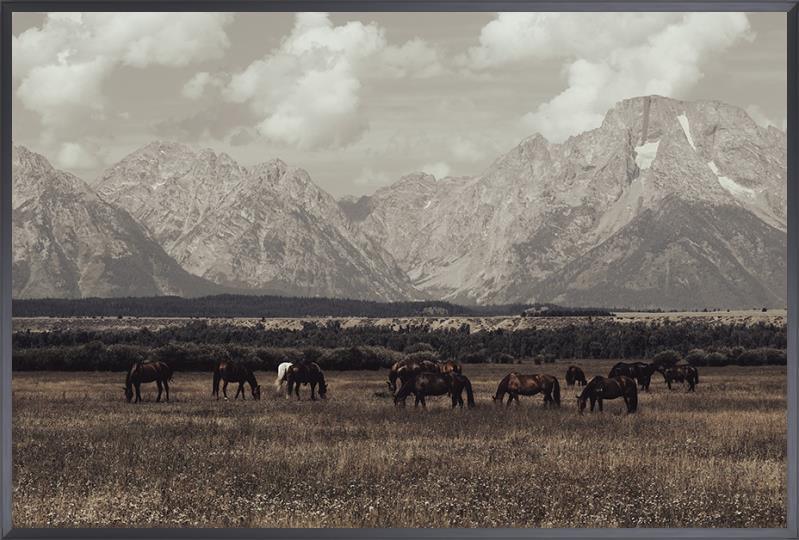 Framed American made Mountain Majesty Horse Art - Horses grazing in field by mountains - Your Western Decor