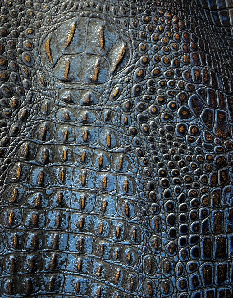 Gator Dark Oxford Embossed Leather - Your Western Decor