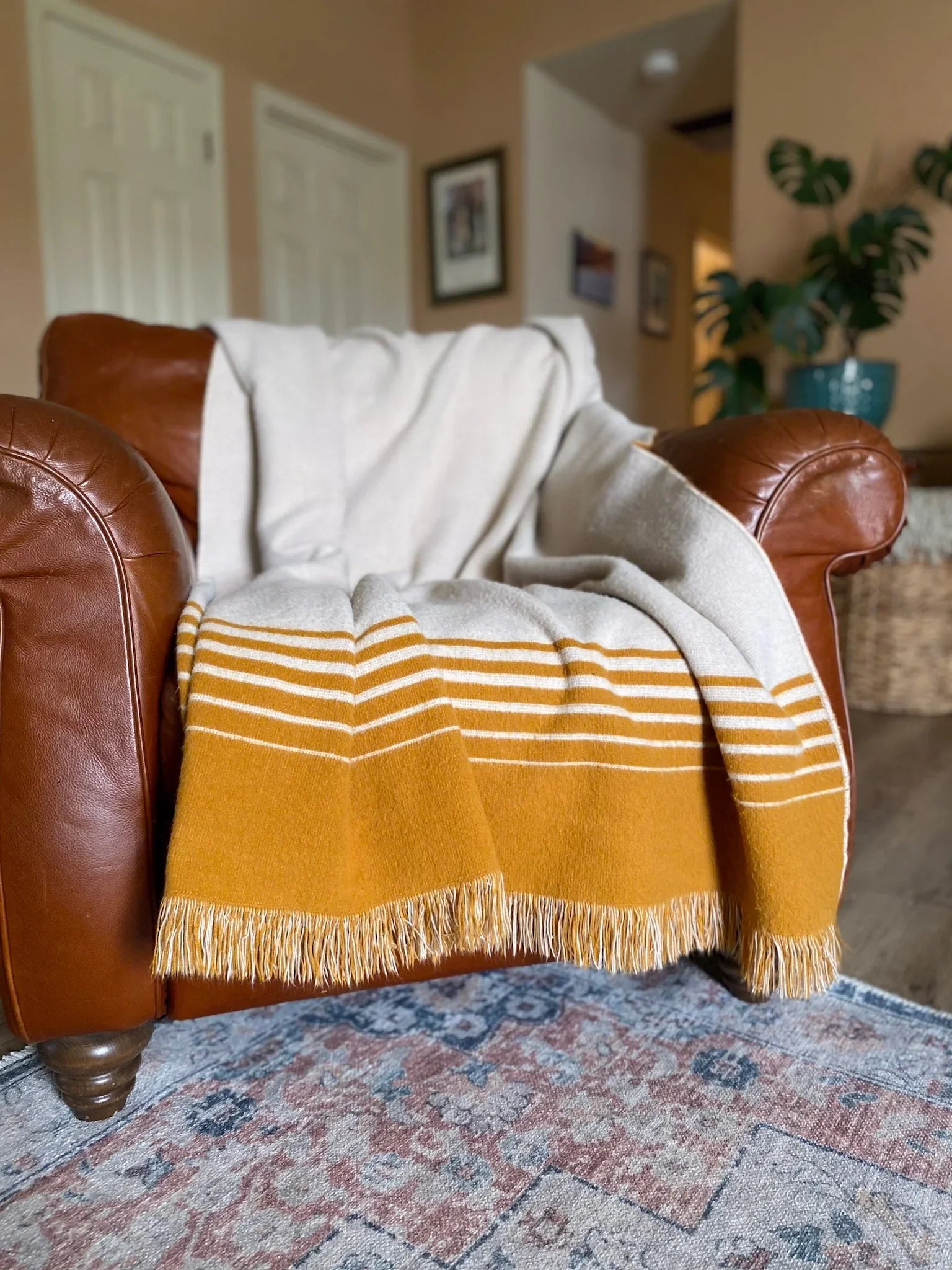 Gold and beige color ultra plush throw blanket on leather chair - Your Western Decor
