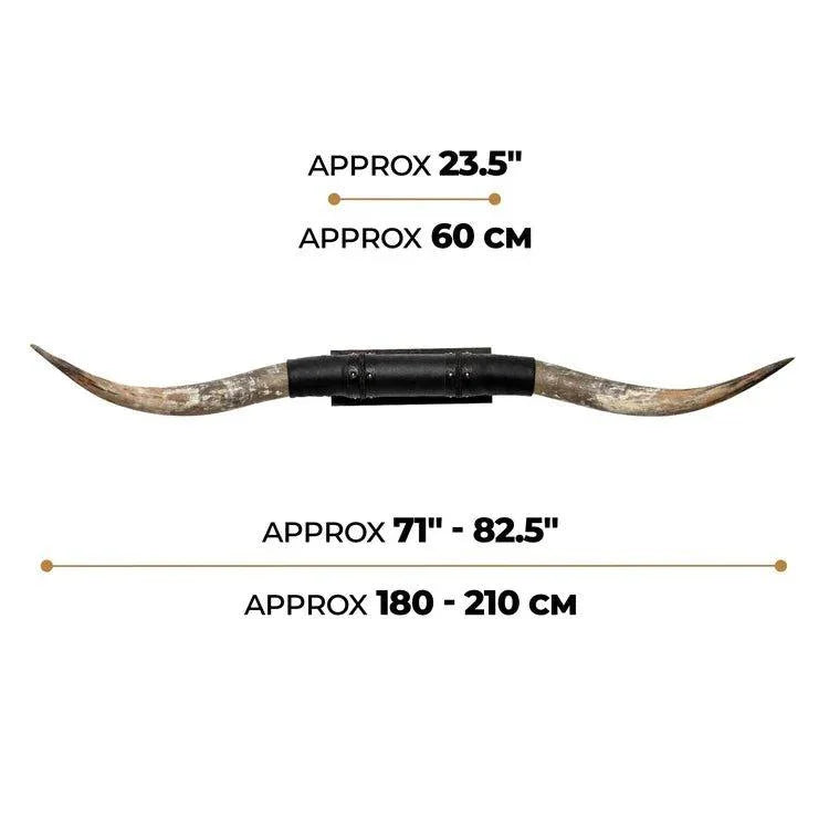 Gunner Longhorn Mount - Rustic Western Wall Decor - Your Western Decor