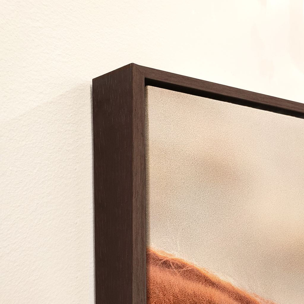 Horse art frame detail