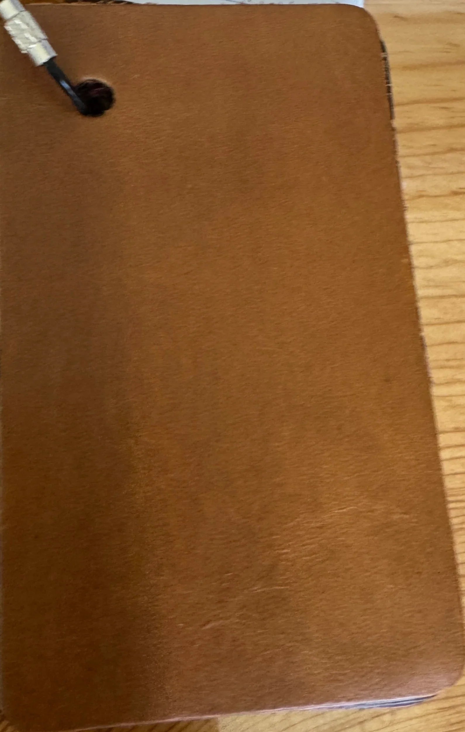 London Bombay Pull-Up Leather sample - Your Western Decor