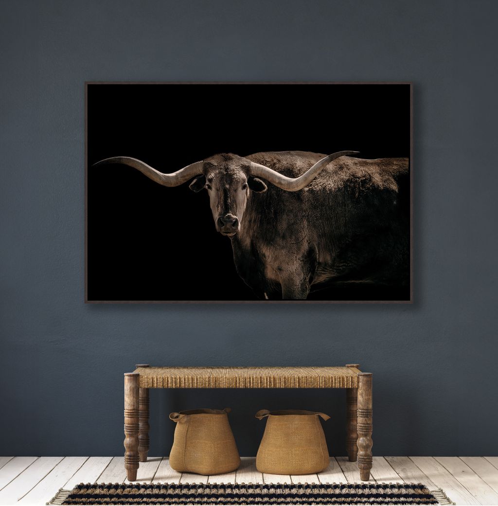 Framed artwork of a longhorn bull on a dark background in a room with a wooden bench and stools - Your Western Decor
