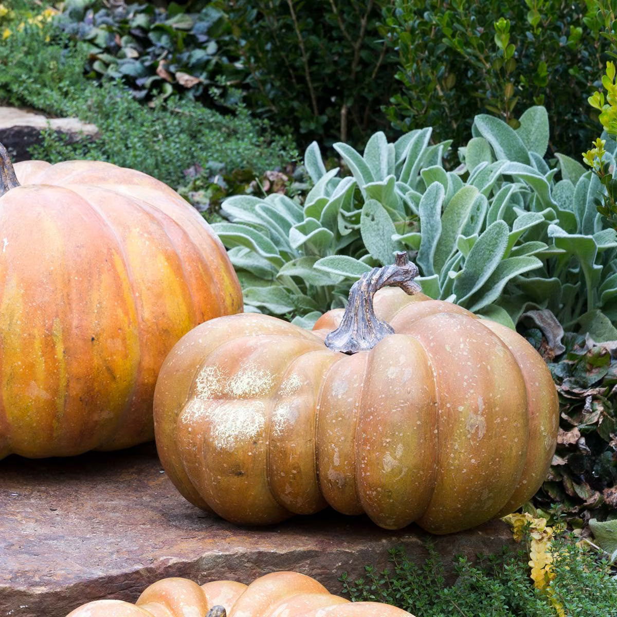 Two pumpkins on a stone surface with green foliage in the background - Your Western Decor