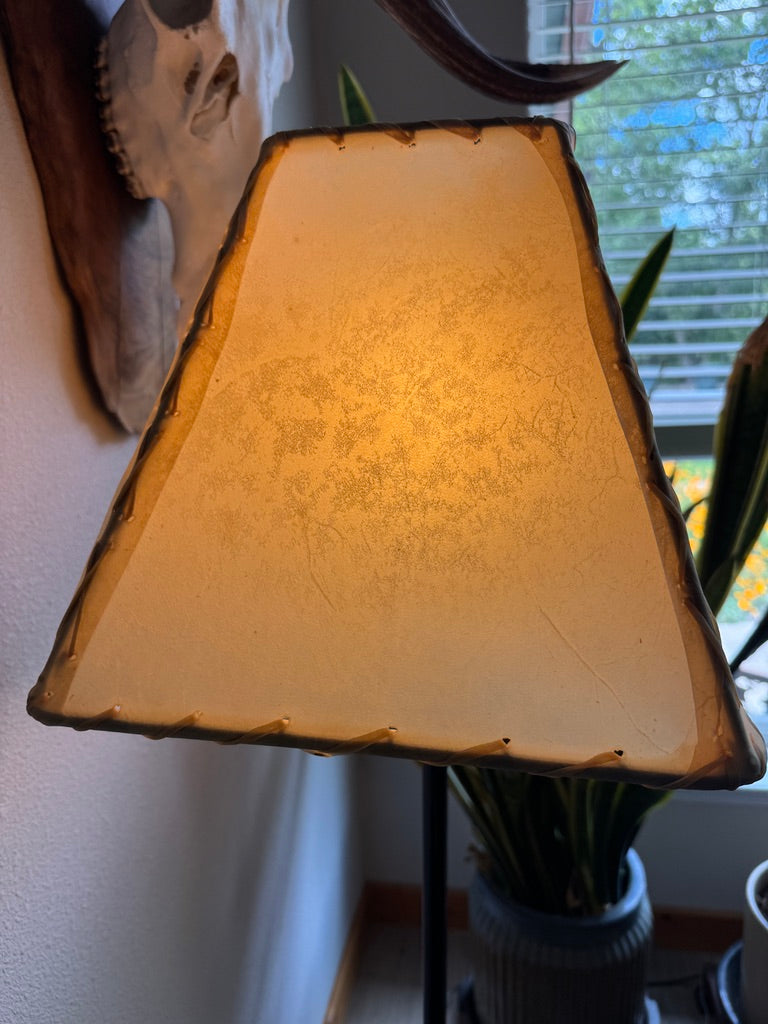 Natural rawhide lamp shade end view
