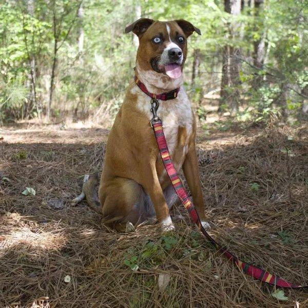 Pendleton Mount Rainier National Parks Leash & Collar, made in the USA - Your Western Decor