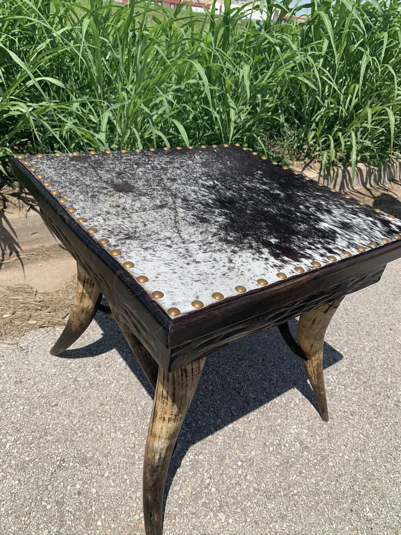 Longhorn steer leg side table with peppered cowhide surface and nail trim