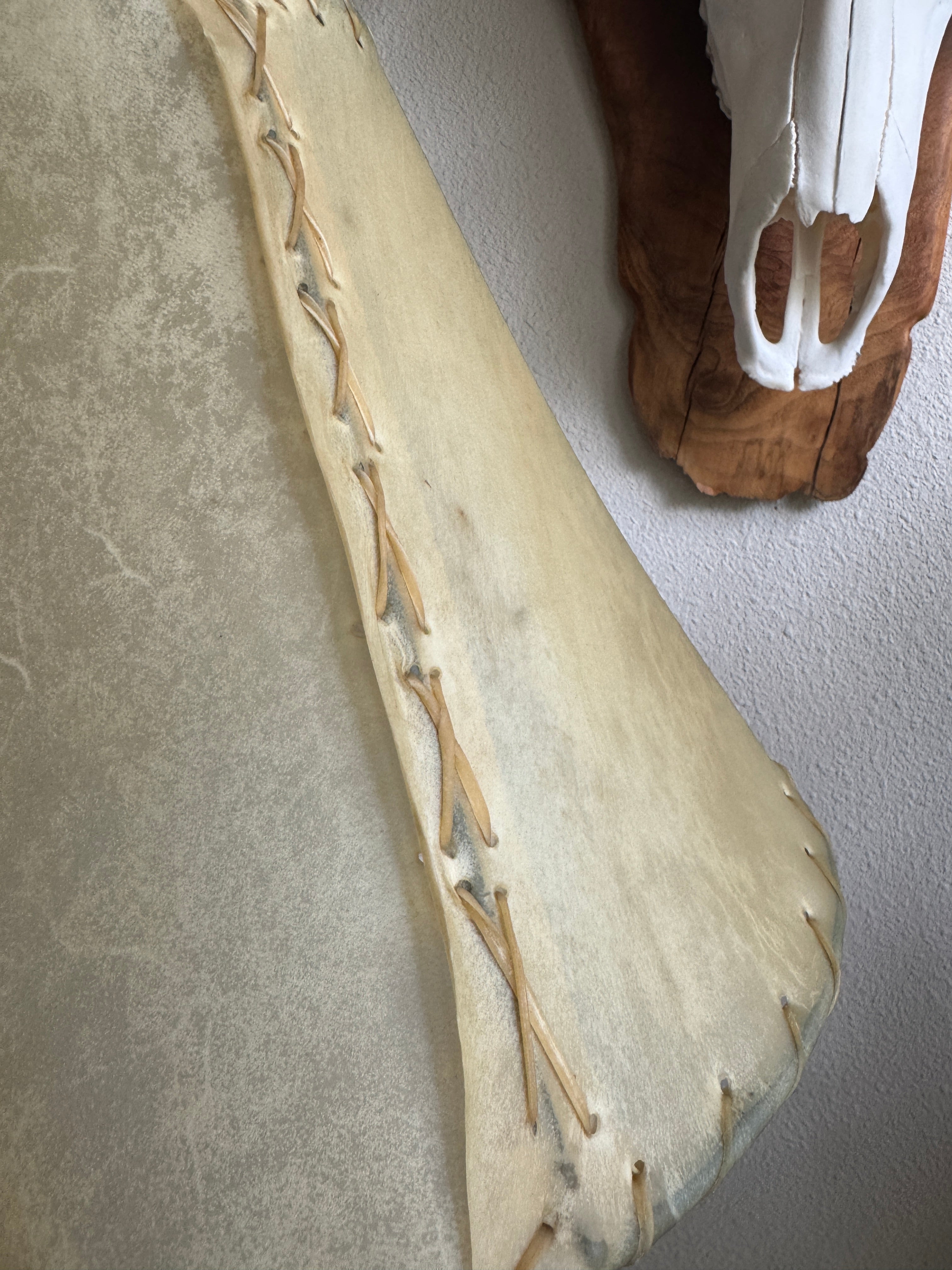 Natural rawhide round lamp shade showing detail of whip stitching